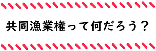 共同漁業権