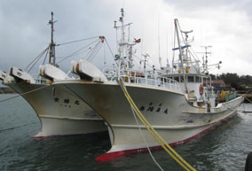 加賀地区の底曳網漁船